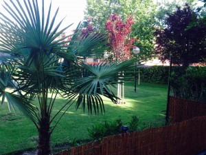 Pradera y Jardín