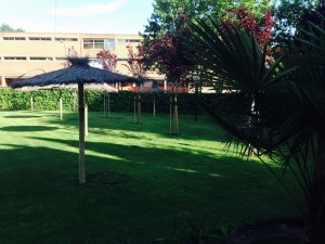 Vista de la pradera